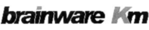 brainware Km Logo (IGE, 12/07/2001)