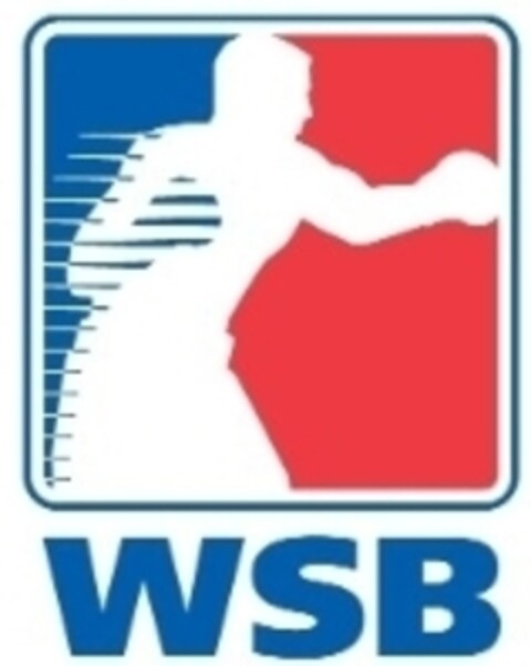 WSB Logo (IGE, 14.08.2009)