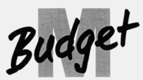 M Budget Logo (IGE, 23.05.1996)