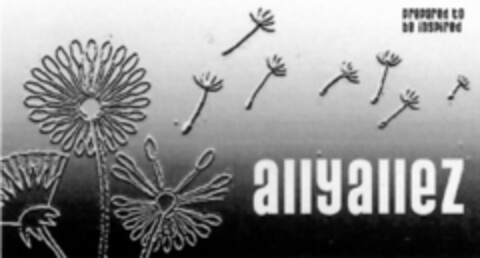 ALLYALLEZ prepared to be inspired Logo (IGE, 01/11/2009)