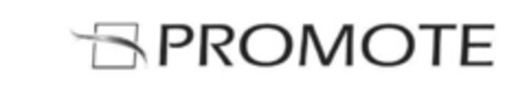 PROMOTE Logo (IGE, 08.11.2013)