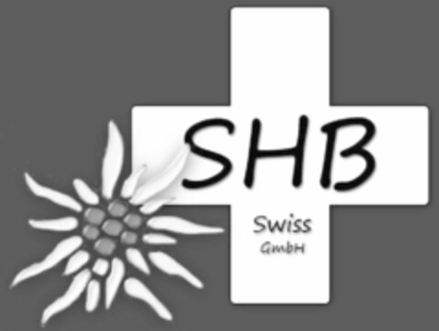 SHB Swiss GmbH Logo (IGE, 09.05.2007)