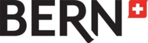 BERN Logo (IGE, 06/04/2010)