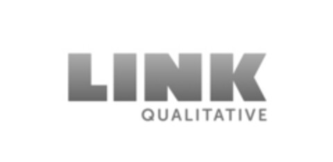 LINK QUALITATIVE Logo (IGE, 17.12.2015)
