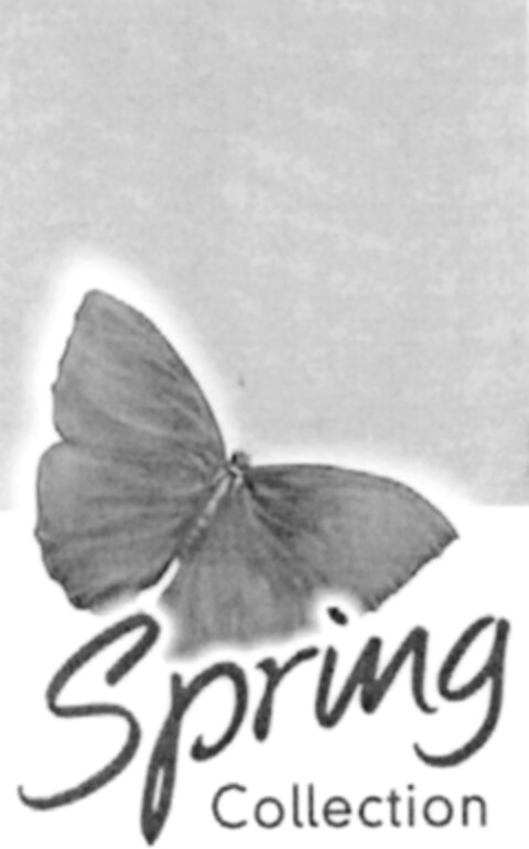 Spring Collection Logo (IGE, 02.12.2005)