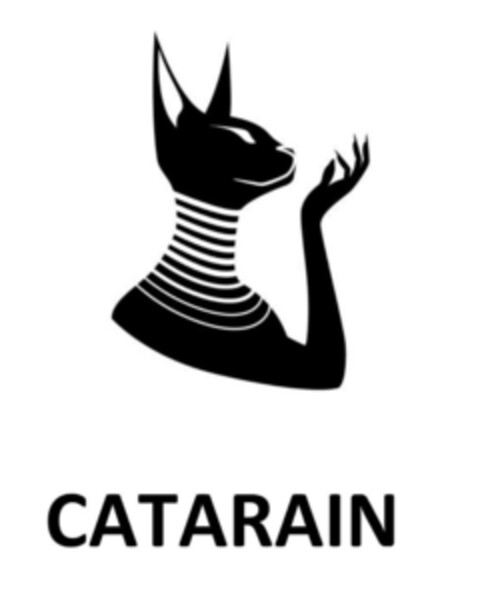 CATARAIN Logo (IGE, 18.11.2020)