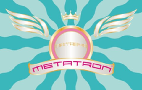 METATRON MAITREYA Logo (IGE, 06/30/2008)