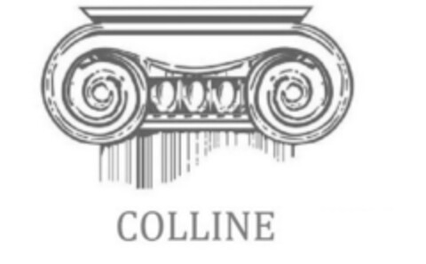 COLLINE Logo (IGE, 24.07.2013)