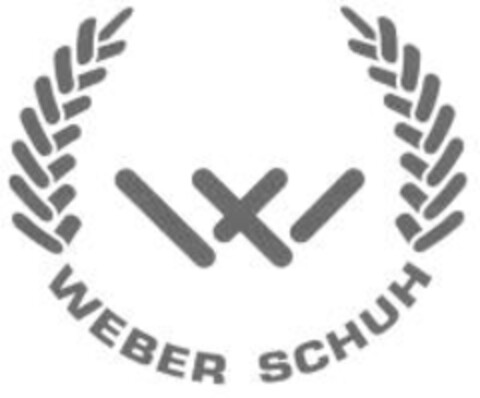 W WEBER SCHUH Logo (IGE, 20.01.2012)