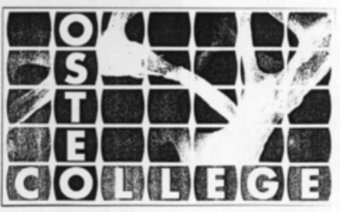 OSTEOCOLLEGE Logo (IGE, 29.02.2000)