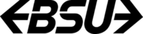 BSU Logo (IGE, 24.03.2005)