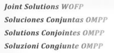 Joint Solutions WOFP Logo (IGE, 02.11.2014)