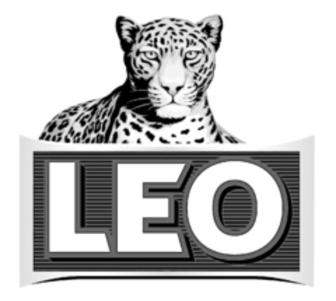 LEO Logo (IGE, 14.12.2023)