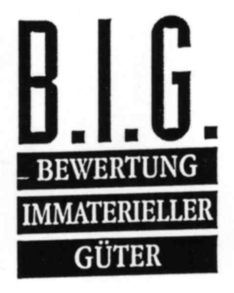 B.I.G. BEWERTUNG IMMATERIELLER GÜTER Logo (IGE, 02.03.2000)