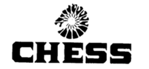 CHESS Logo (IGE, 11.05.1994)