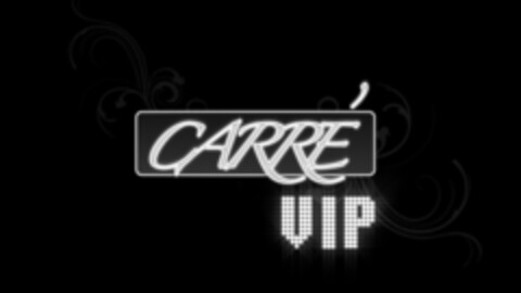 CARRÉ VIP Logo (IGE, 06/23/2009)