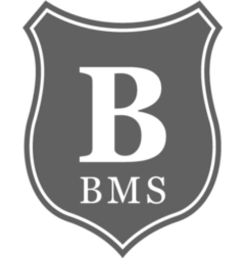 B BMS Logo (IGE, 29.07.2014)