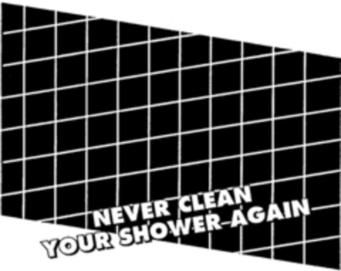 NEVER CLEAN YOUR SHOWER AGAIN Logo (IGE, 01.12.1998)