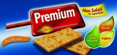 Premium Non Salati in superficie Logo (IGE, 08/23/2007)