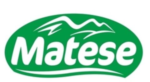 Matese Logo (IGE, 31.07.2013)