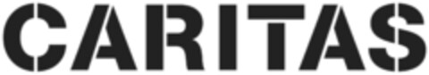 CARITAS Logo (IGE, 26.01.2016)