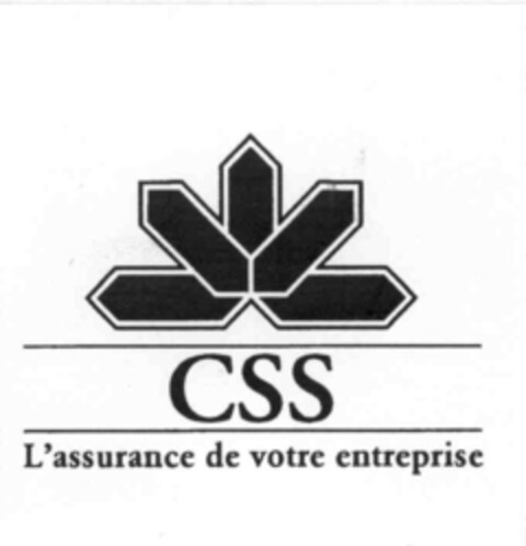 CSS L'assurance de votre entreprise Logo (IGE, 03/11/1999)