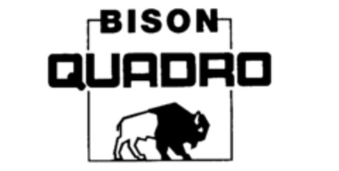 BISON QUADRO Logo (IGE, 02/15/1991)