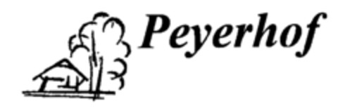 Peyerhof Logo (IGE, 17.02.1995)