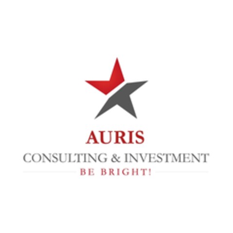 AURIS CONSULTING & INVESTMENT BE RIGHT Logo (IGE, 12.02.2019)