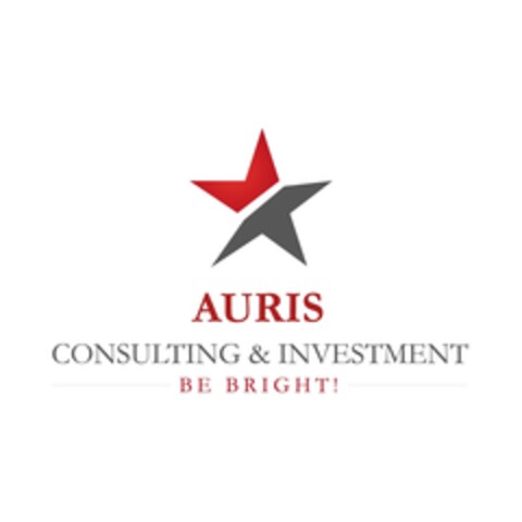 AURIS CONSULTING & INVESTMENT BE RIGHT Logo (IGE, 02/12/2019)