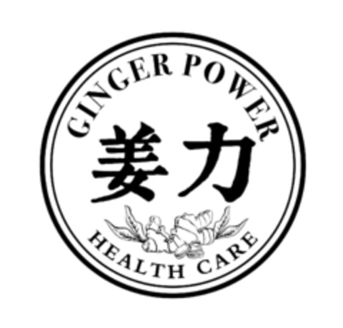 GINGER POWER HEALTH CARE Logo (IGE, 16.06.2021)