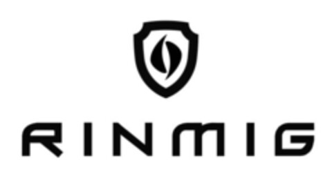 RINMIG Logo (IGE, 08.09.2023)