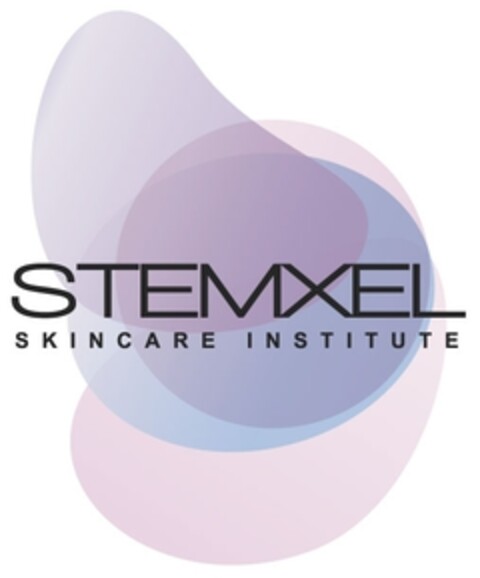 STEMXEL SKINCARE INSTITUTE Logo (IGE, 08/26/2011)