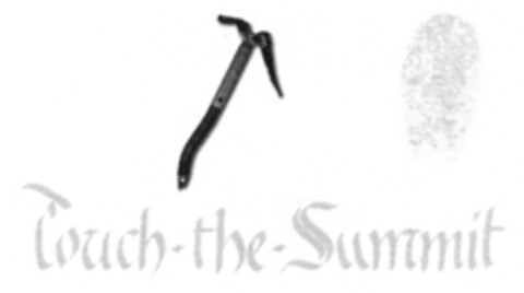 Touch-the-Summit Logo (IGE, 18.07.2008)