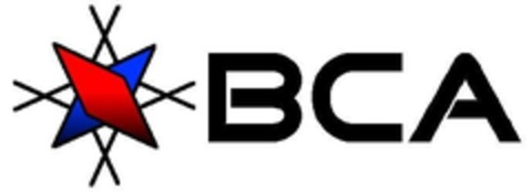 BCA Logo (IGE, 20.06.2008)