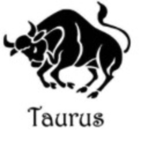 Taurus Logo (IGE, 07.07.2020)