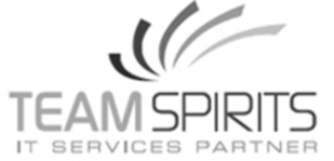 TEAM SPIRITS IT SERVICES PARTNER Logo (IGE, 23.12.2011)