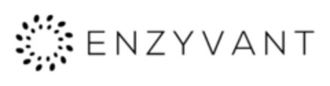 ENZYVANT Logo (IGE, 09/07/2018)