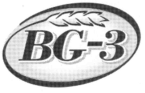 BG-3 Logo (IGE, 14.07.2000)