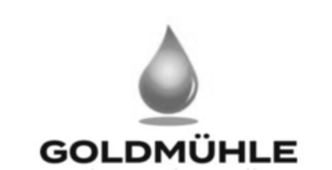 GOLDMÜHLE Logo (IGE, 11.11.2020)