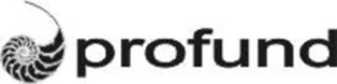 profund Logo (IGE, 12.05.2005)