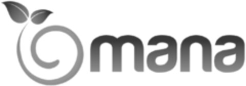 mana Logo (IGE, 29.10.2013)