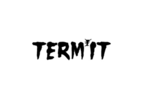 TERMIT Logo (IGE, 29.01.2020)