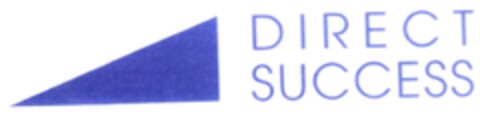 DIRECT SUCCESS Logo (IGE, 03/11/2009)