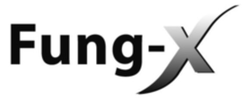 Fung-X Logo (IGE, 13.03.2007)