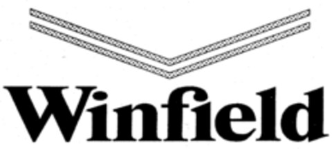 Winfield Logo (IGE, 23.06.1998)