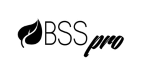 BSS pro Logo (IGE, 11.01.2018)