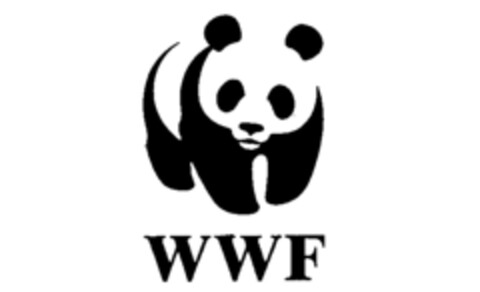 WWF Logo (IGE, 18.02.1991)