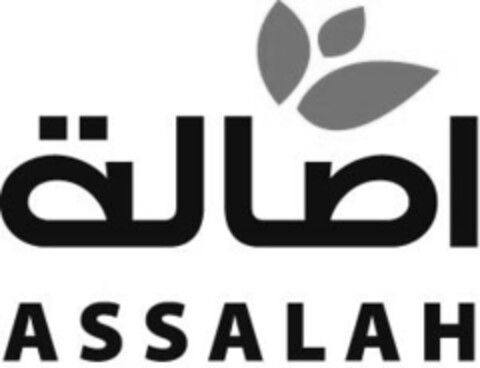 ASSALAH Logo (IGE, 15.01.2015)