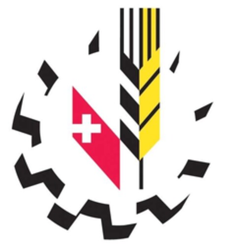  Logo (IGE, 30.09.2020)